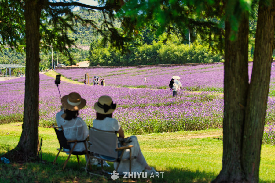 祺泰森林氧吧 14