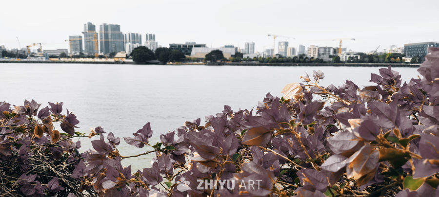 城市河畔的静谧时光