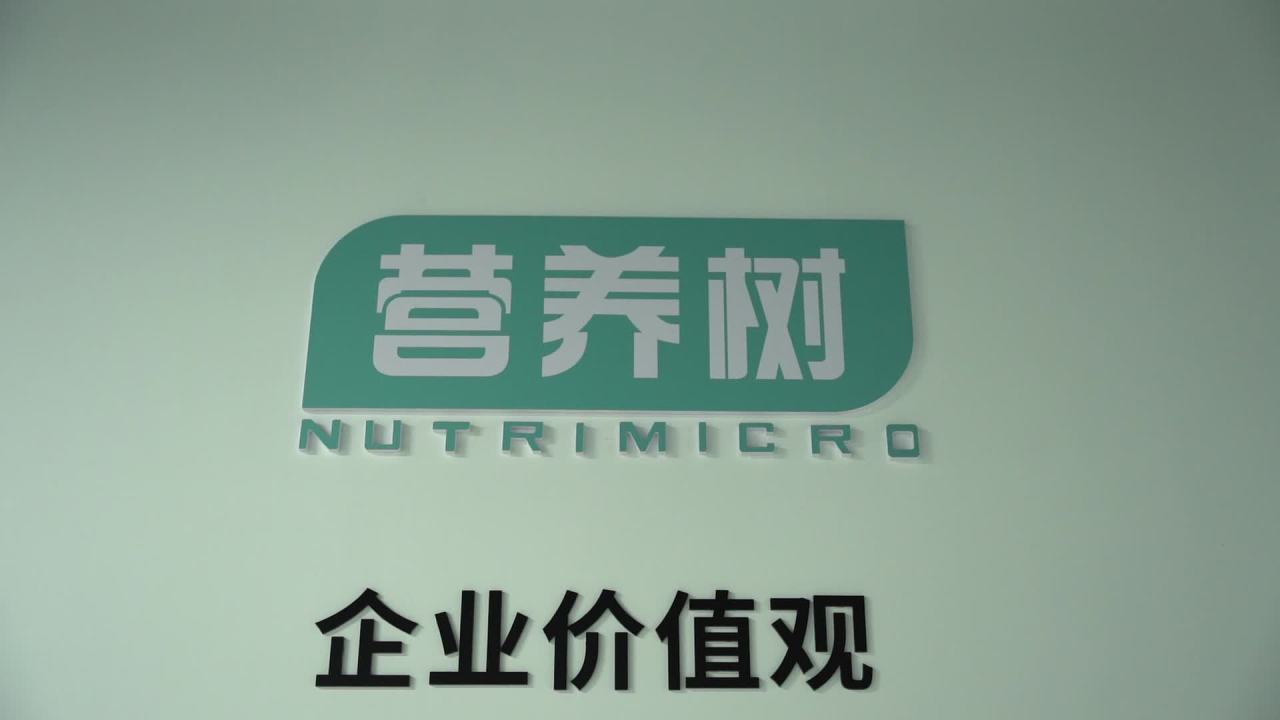 公司 41