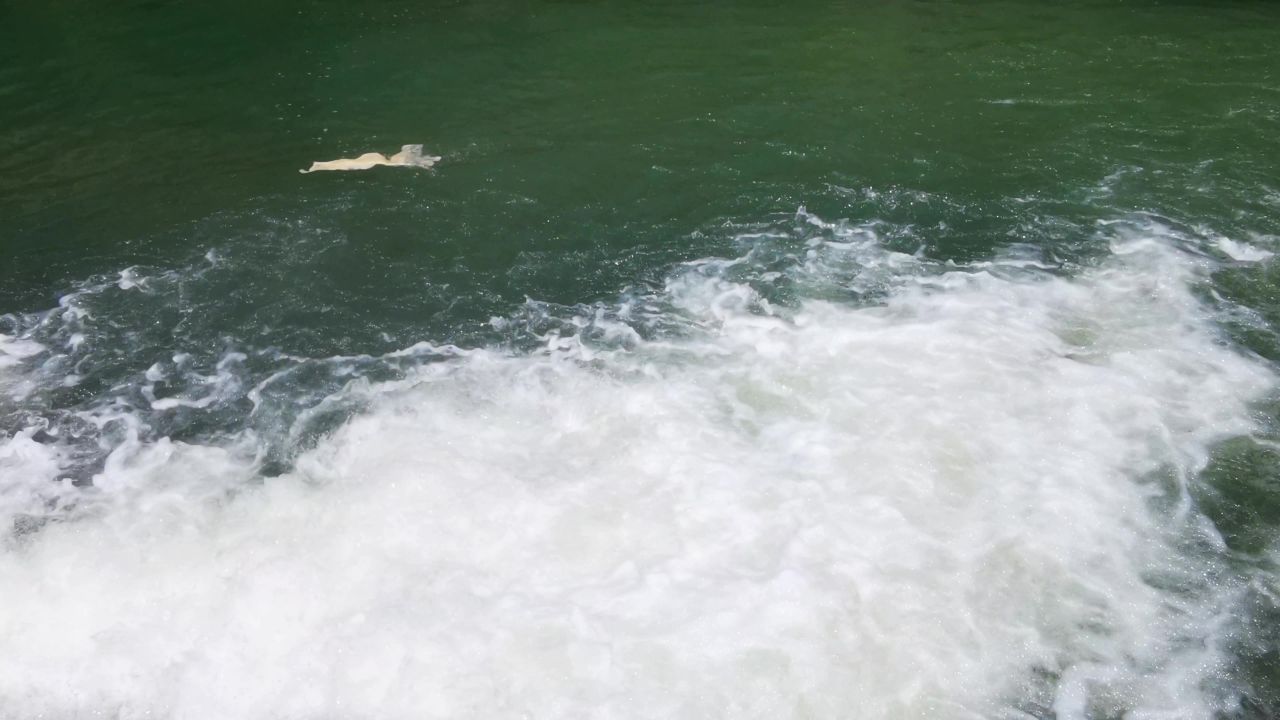 自然风光水流瀑布 