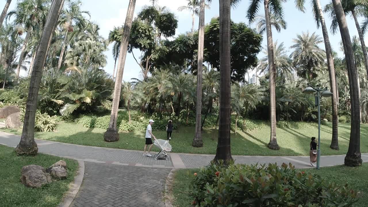 公园 9