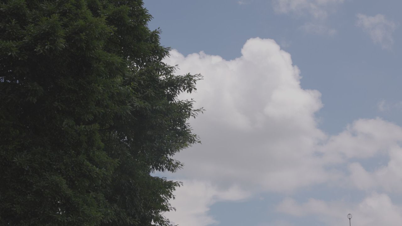 4Kclog3夏日绿树白云
