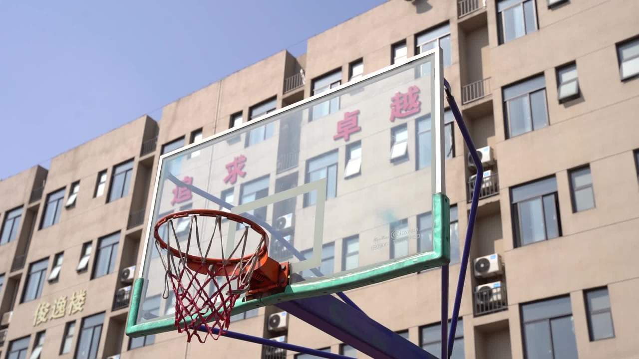运动 46