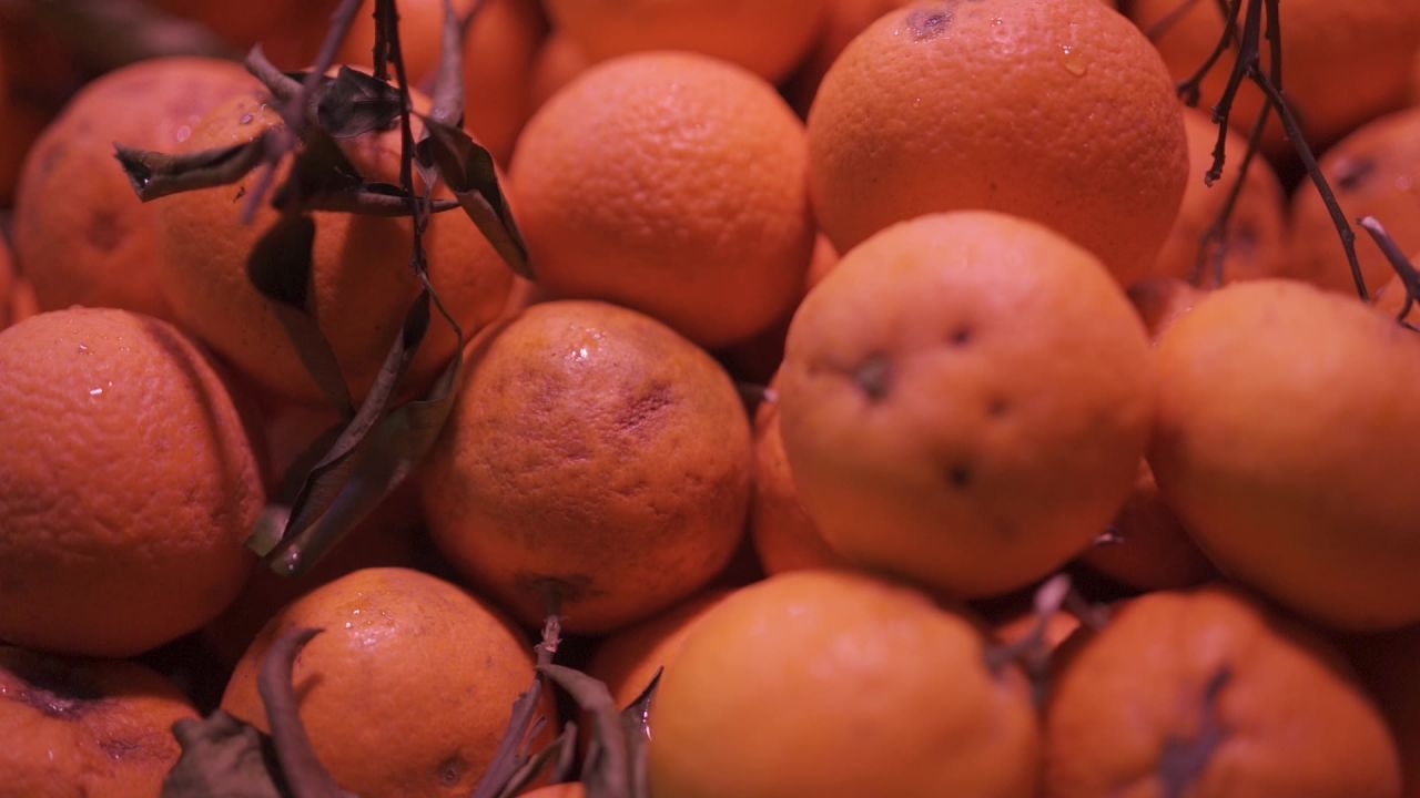 售卖橘子