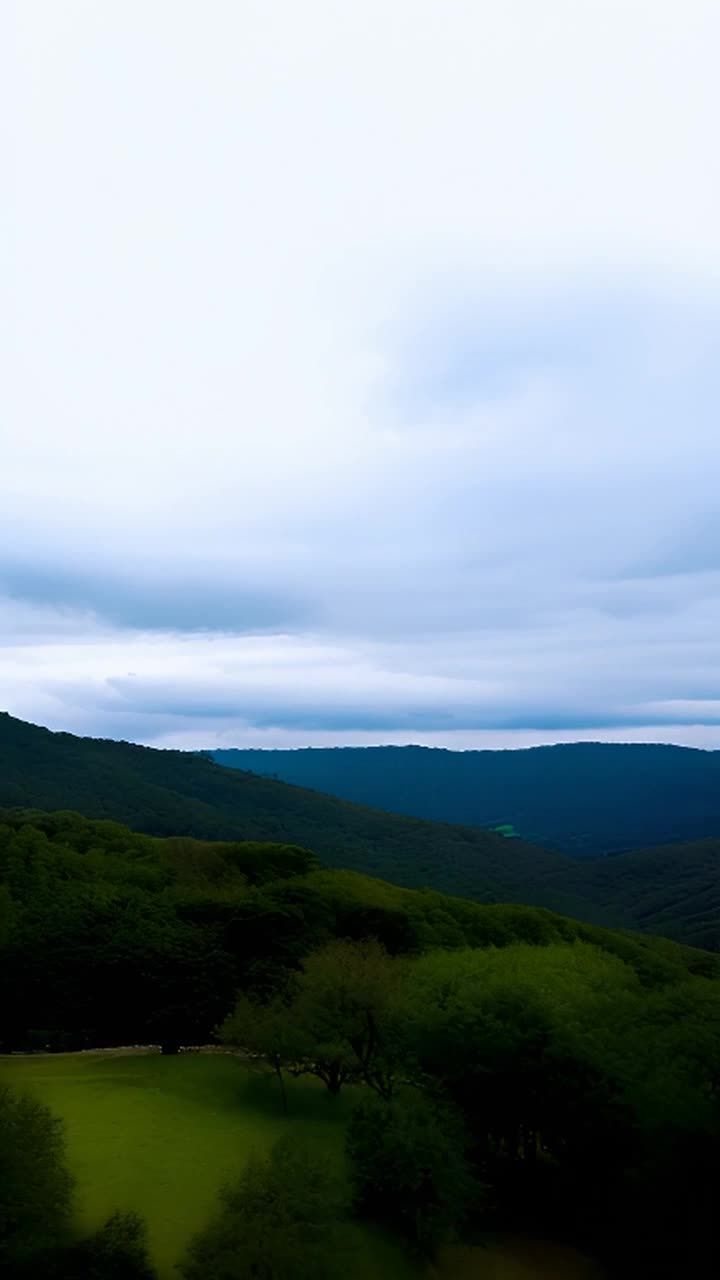 郁郁葱葱的山丘景观，连绵起伏的地形，茂密的绿色植被