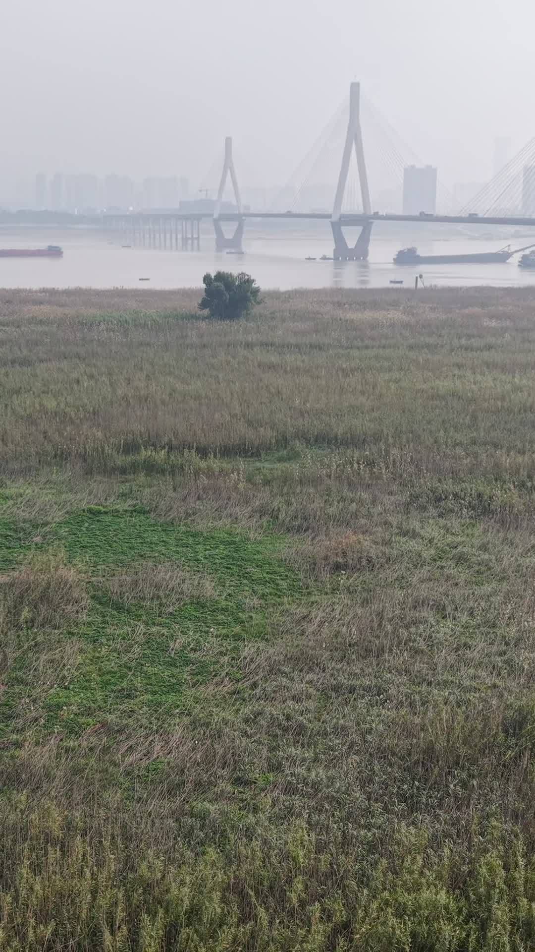 雾中桥景
