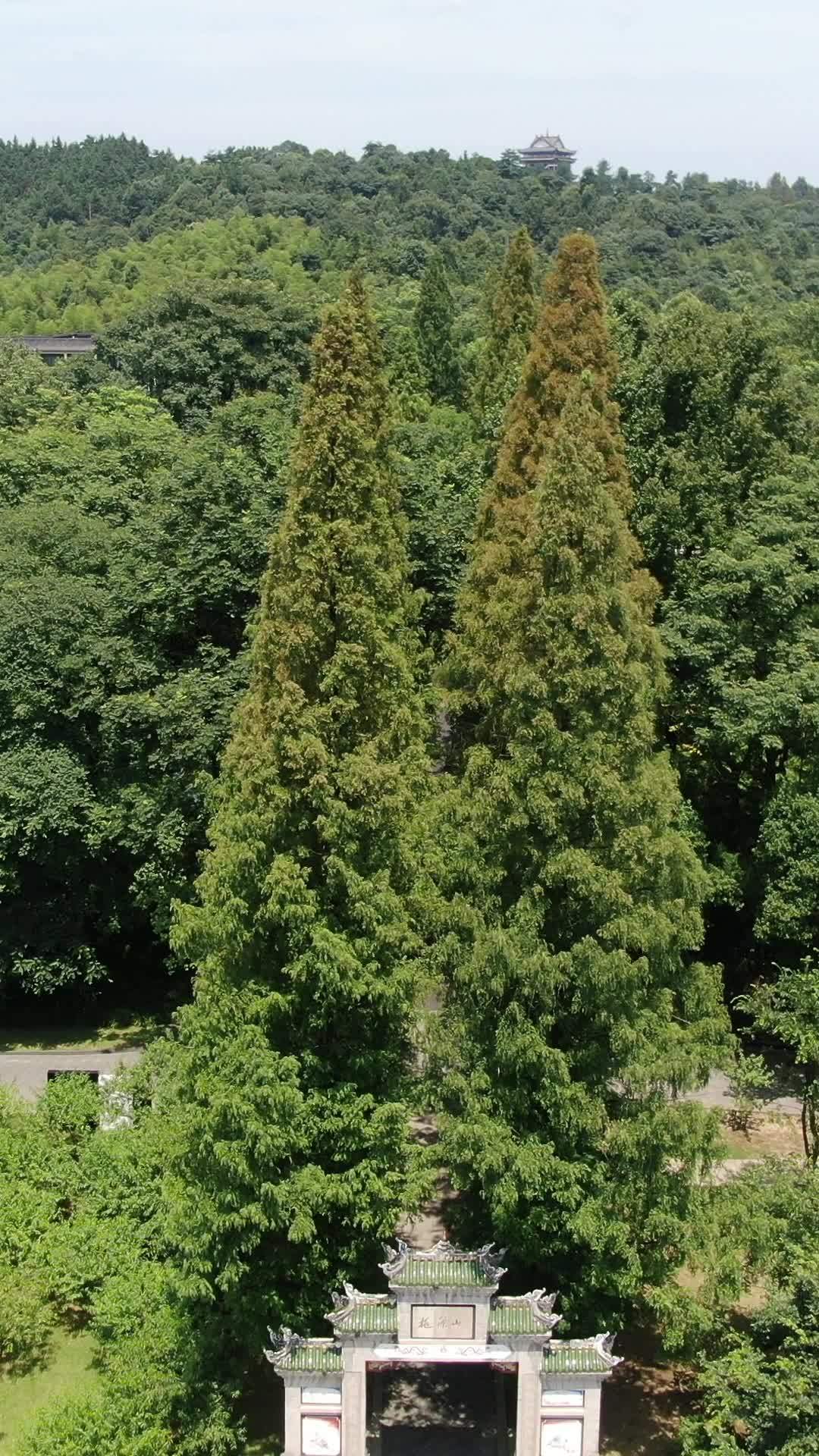 湖畔古亭静谧景