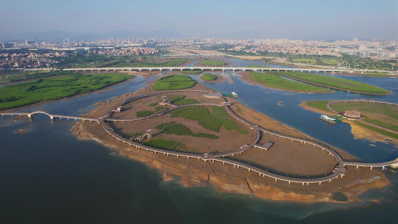 厦门航拍下潭尾湿地公园