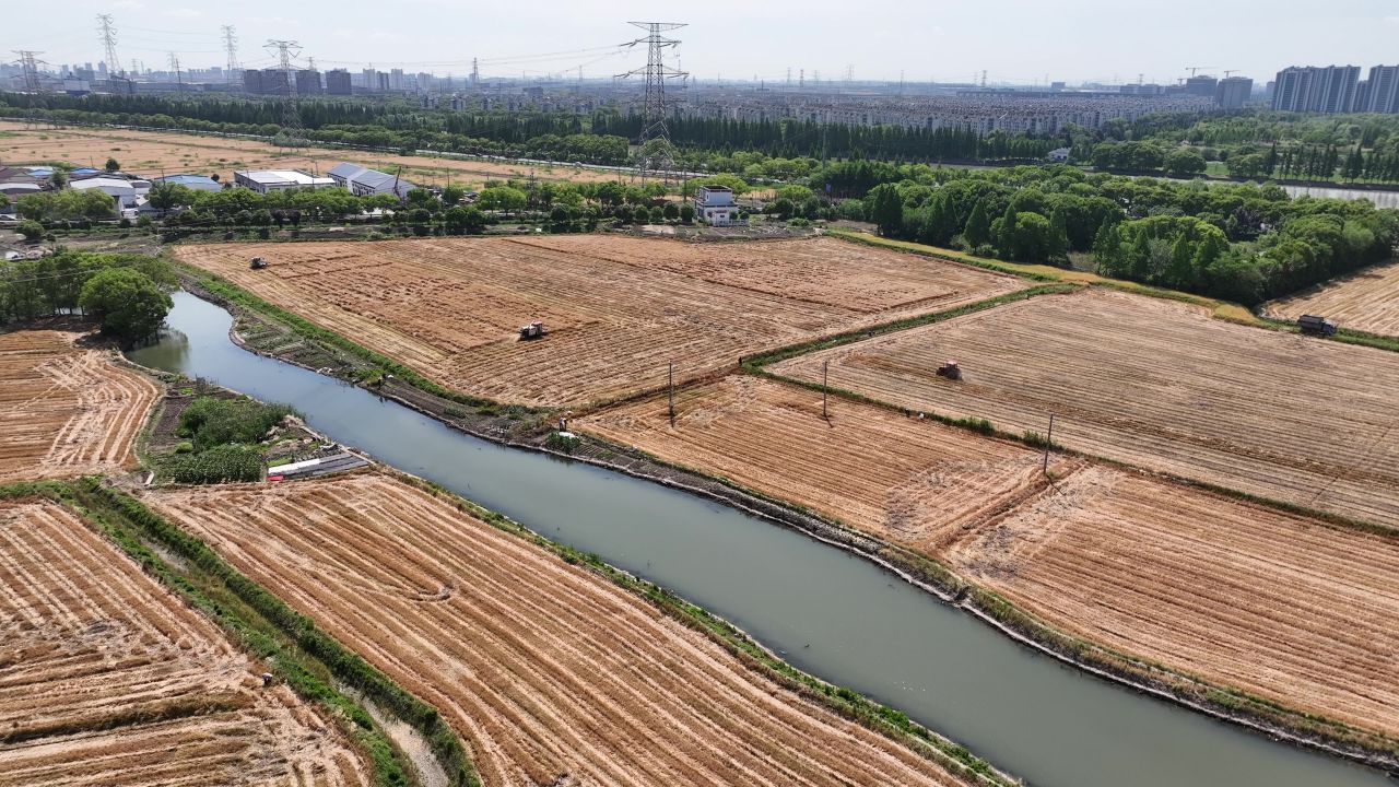 4K航拍昆山农业夏收 41