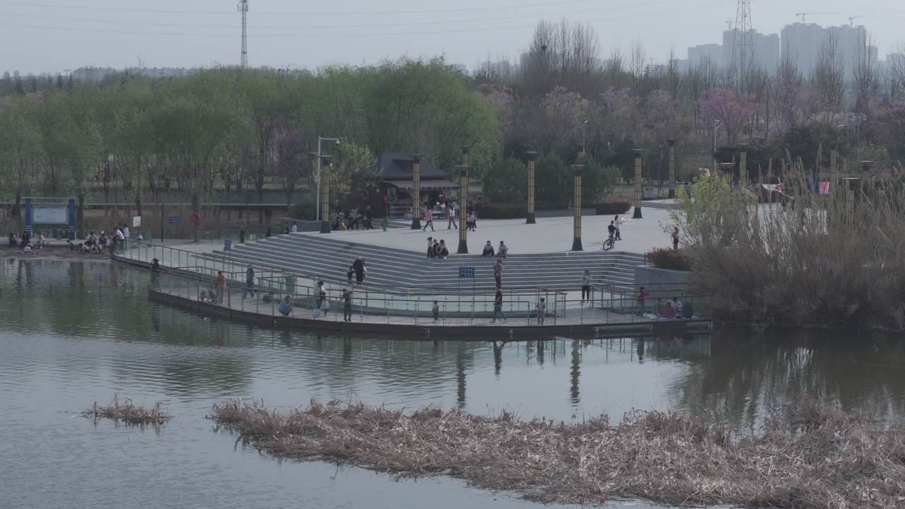 湖畔公园的悠闲时光