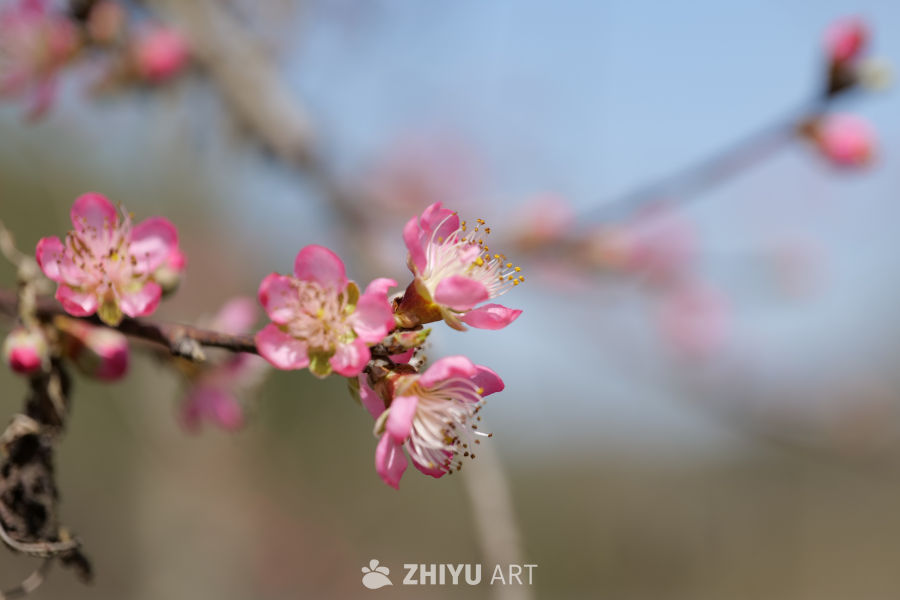 景区一角 14