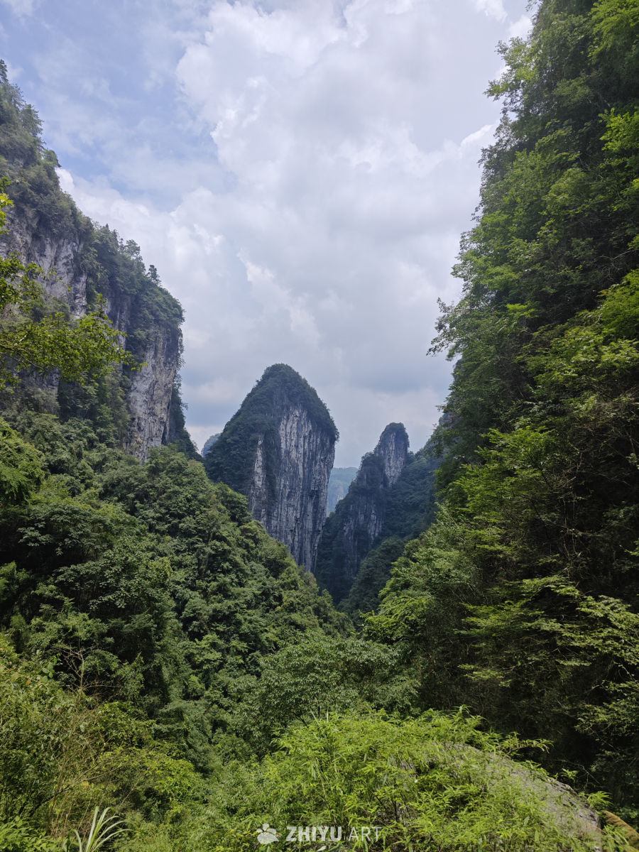 山中的风景
