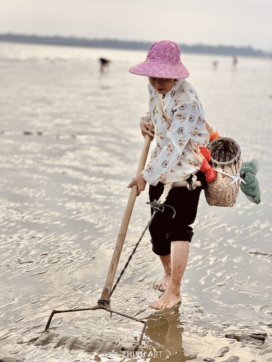 赶海人