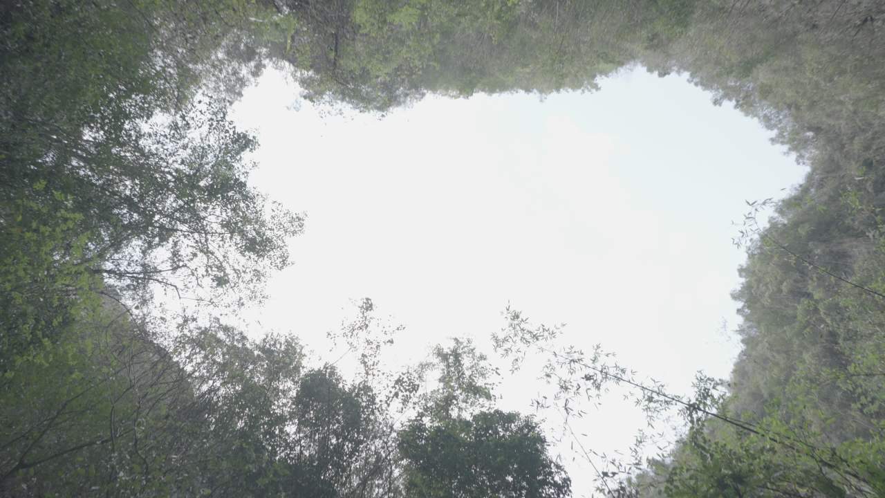溶洞天窗 6