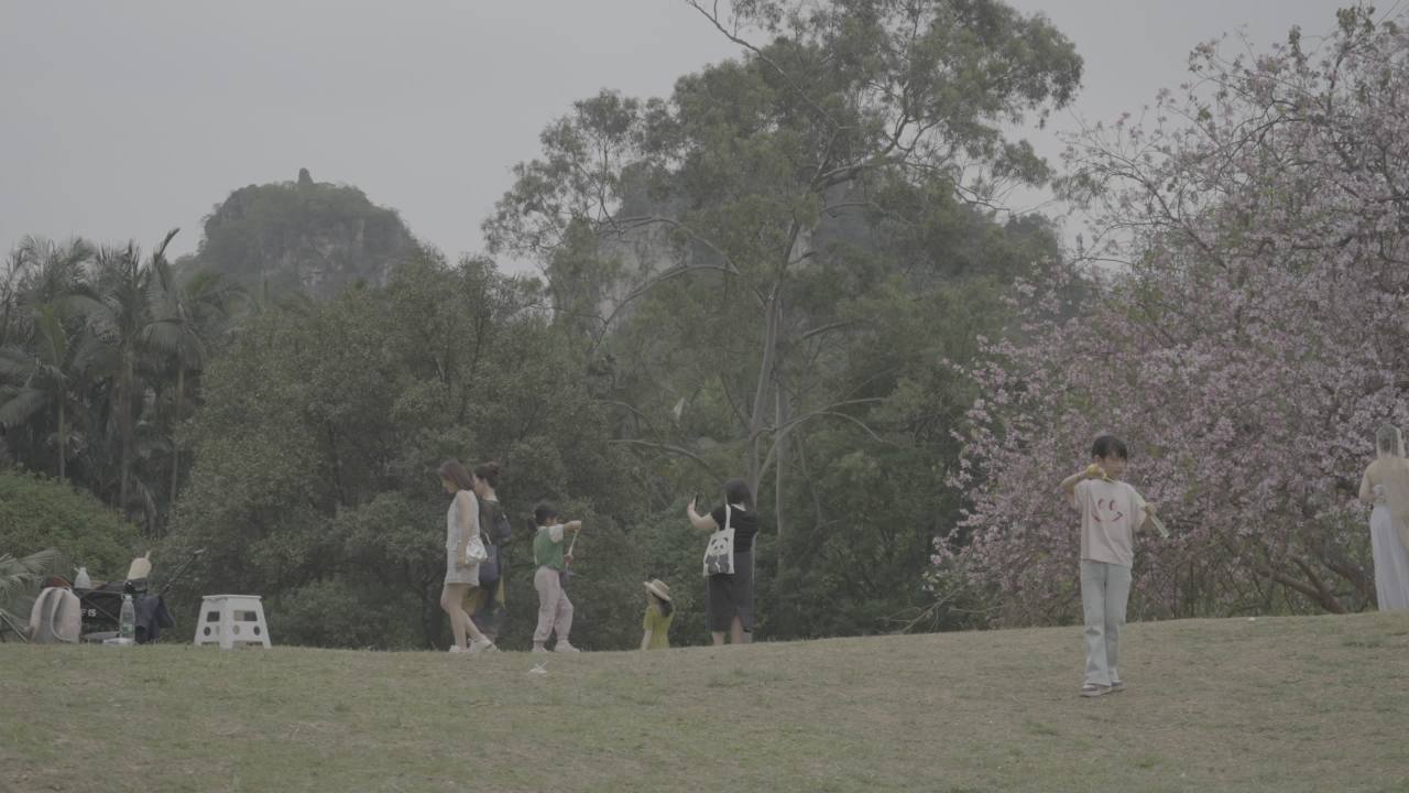 龙潭公园 7