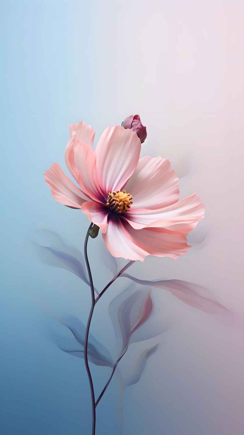 花的艺术高清背景图 5