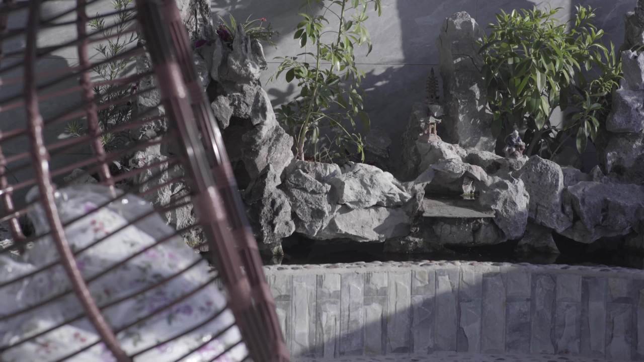 悬挂椅下的静谧花园