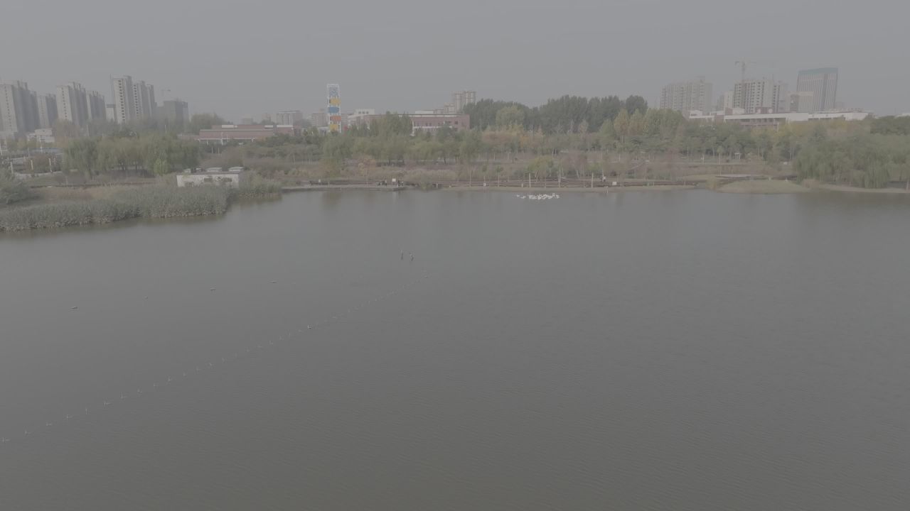 湖畔城市的静谧时光