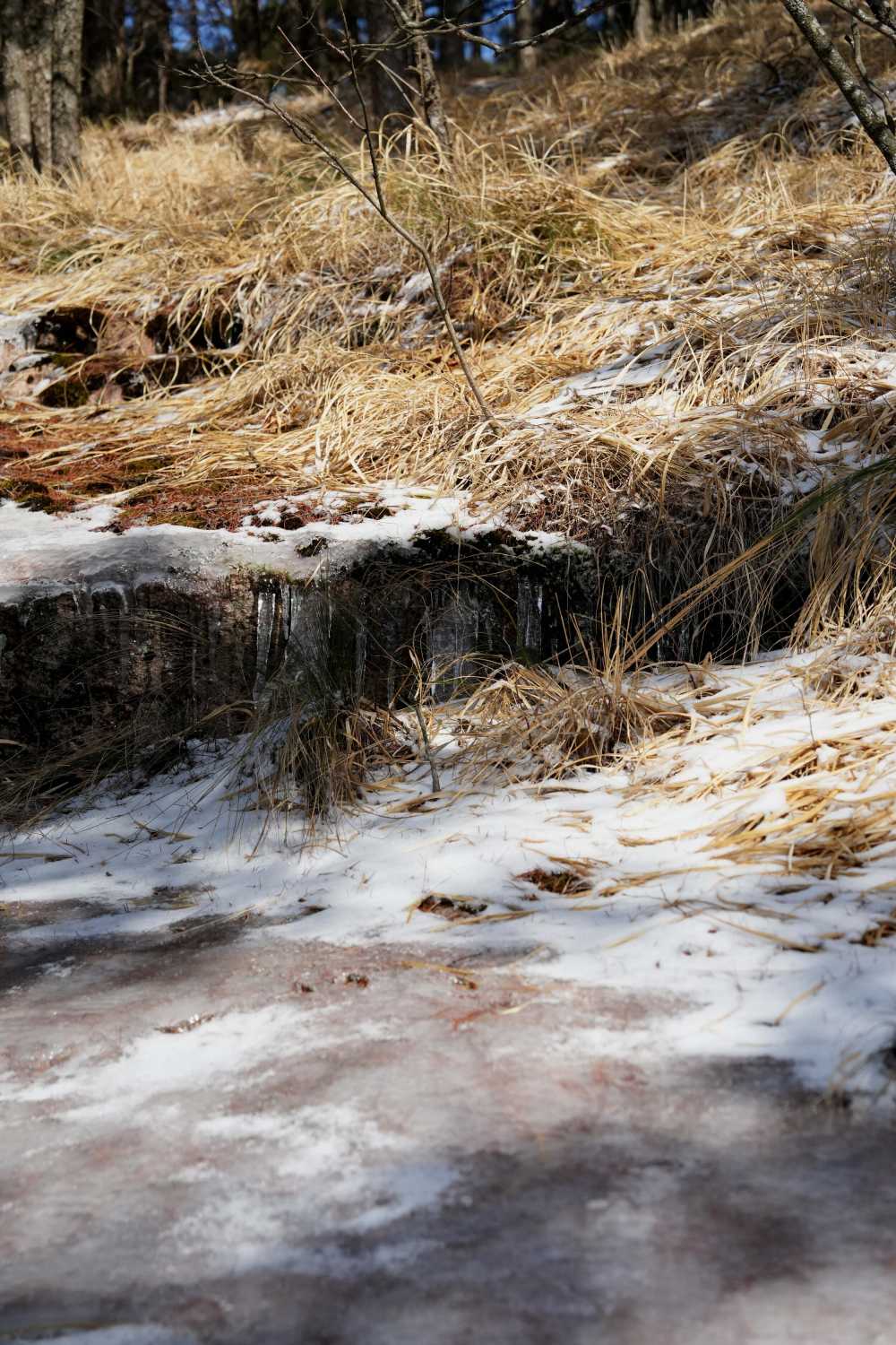 雪落黄山，雾凇云海——雪篇