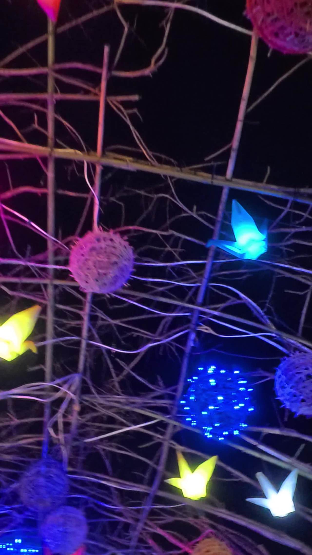 夜空下的光影艺术