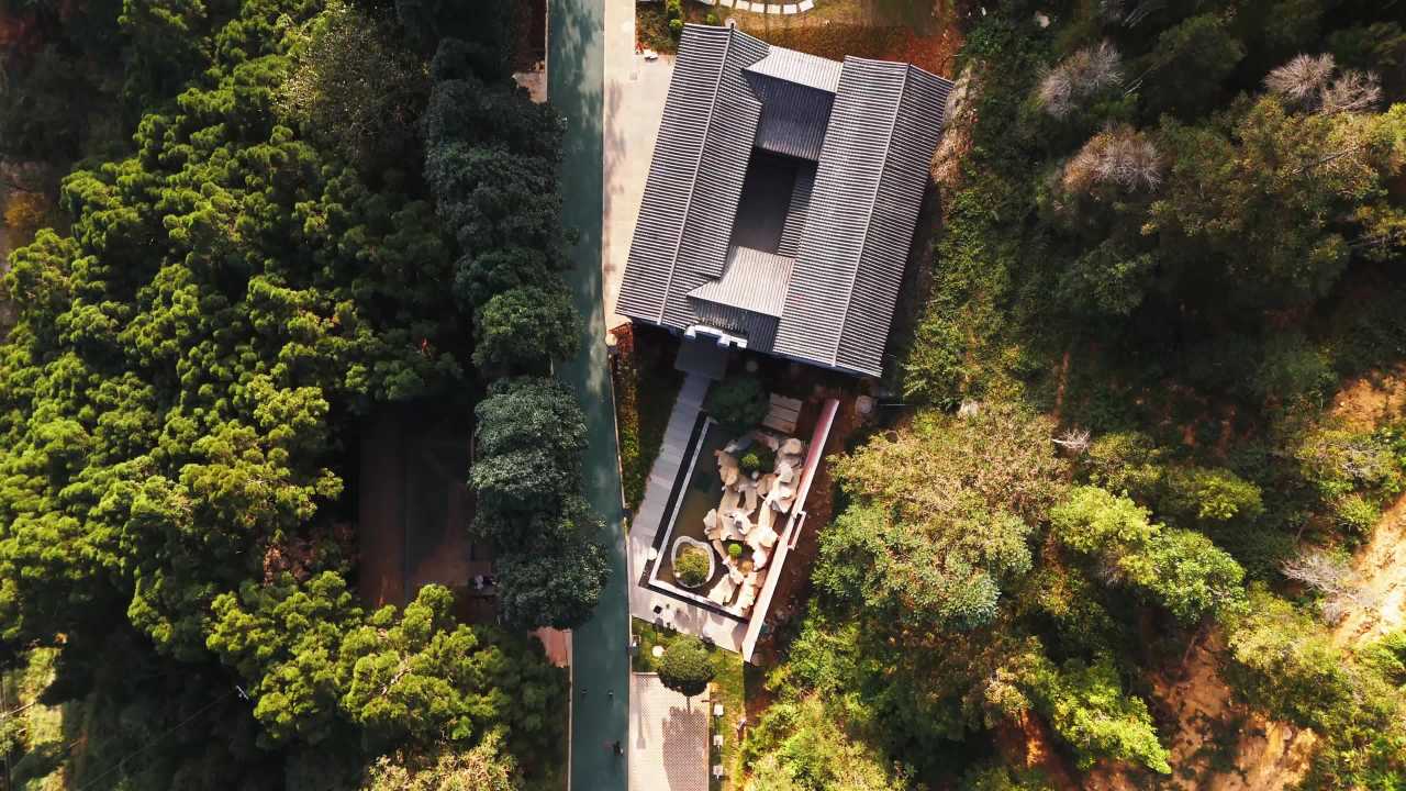 森林中的未来建筑