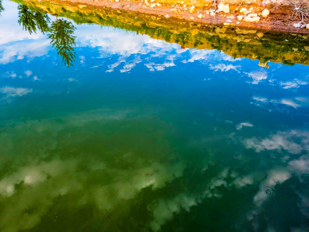 渭河湿地公园湖面倒影