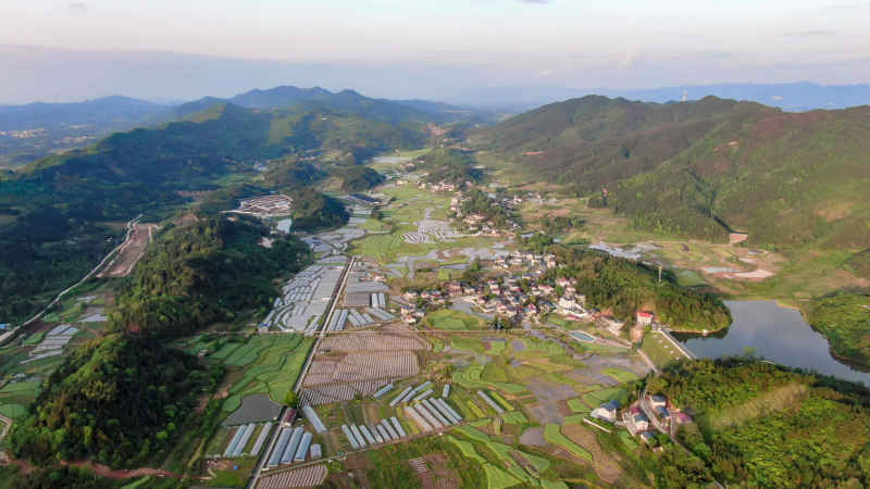 山川丘陵农田农业种植航拍图 