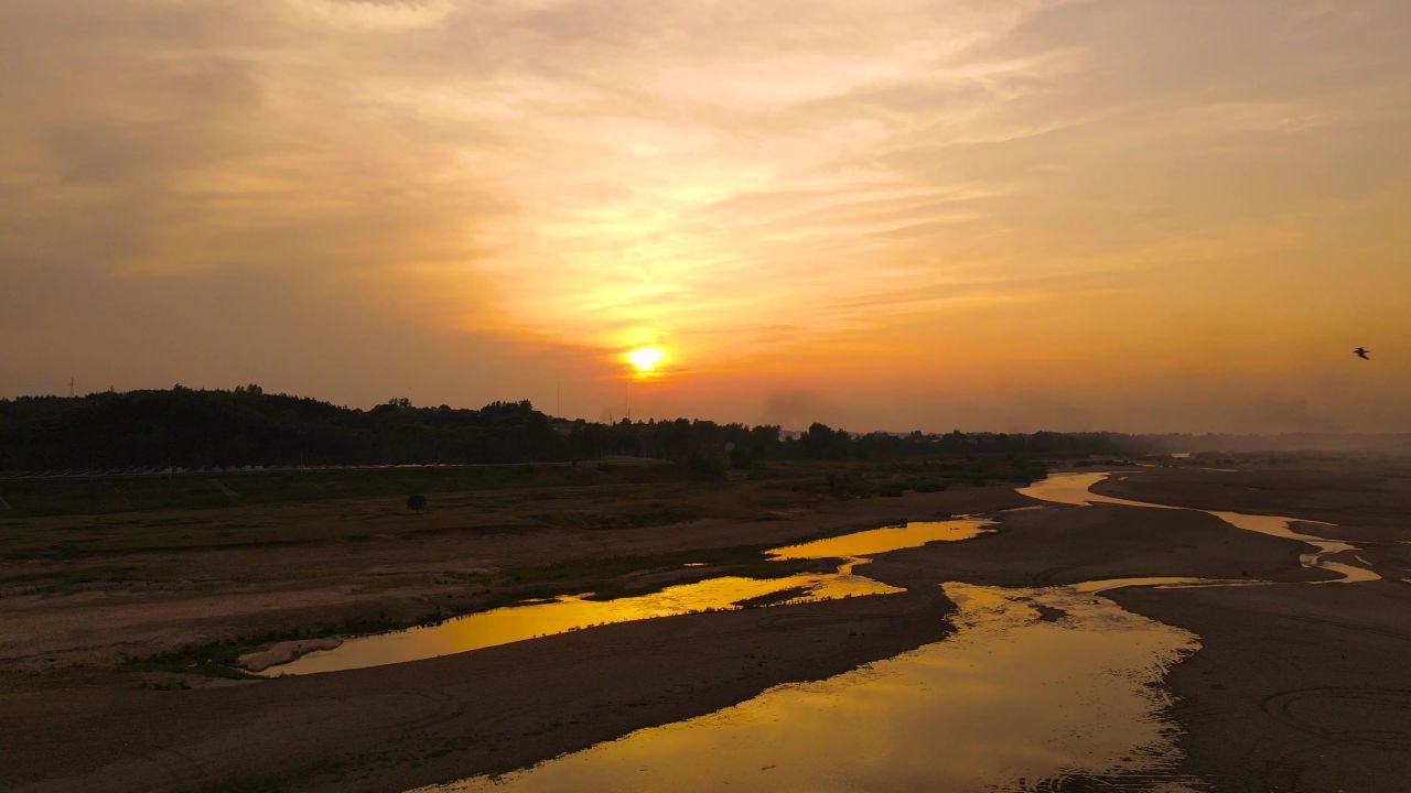河滩夕阳飞过的群鸟