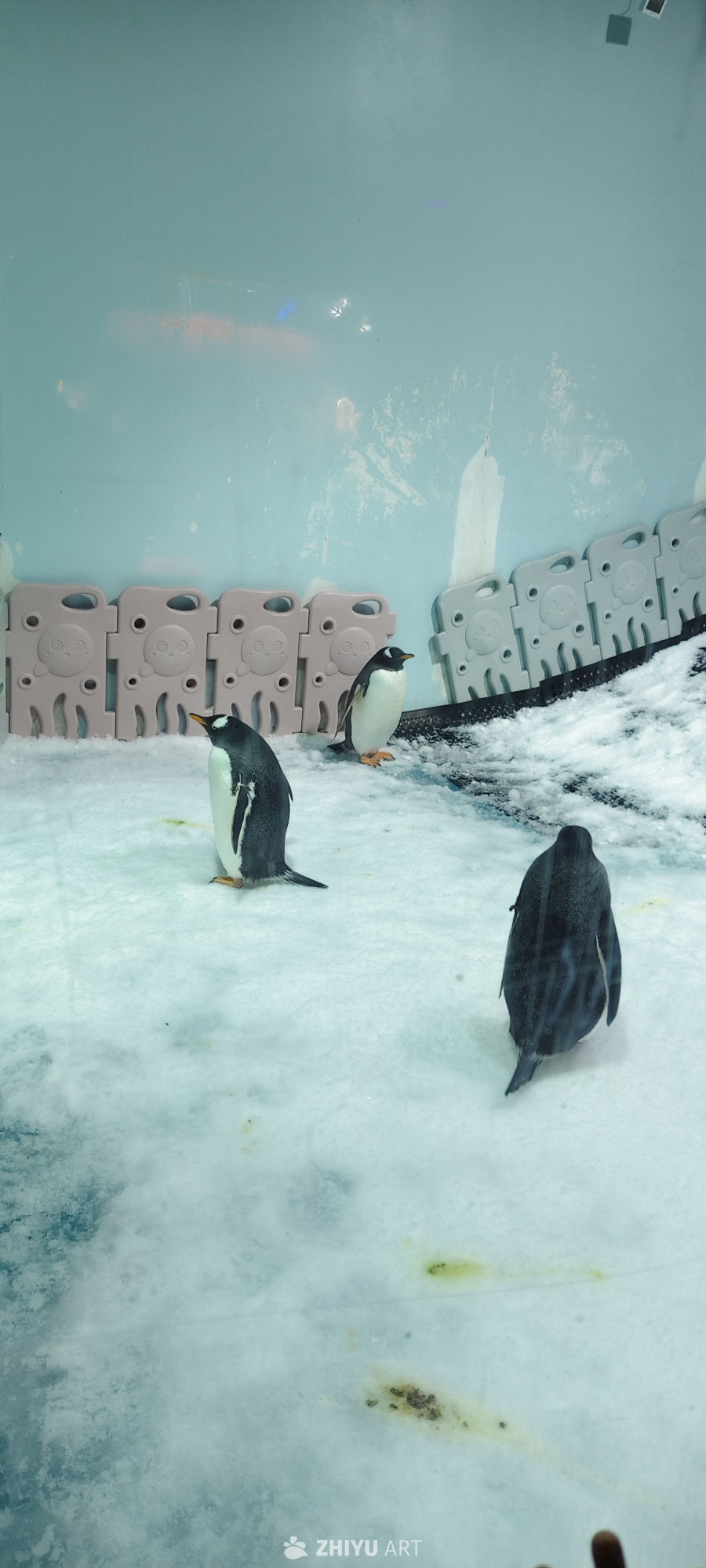 海洋馆 8