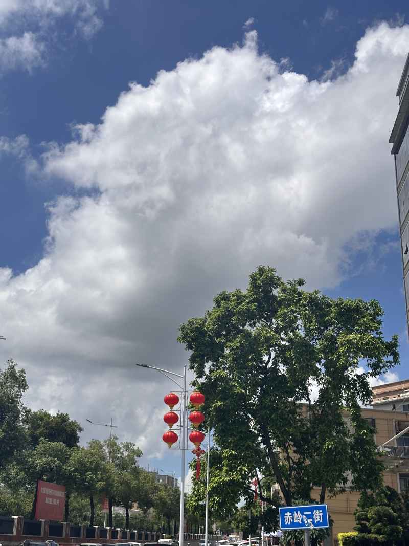 南方集云 17