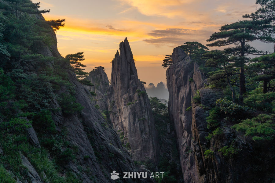 黄山的黄