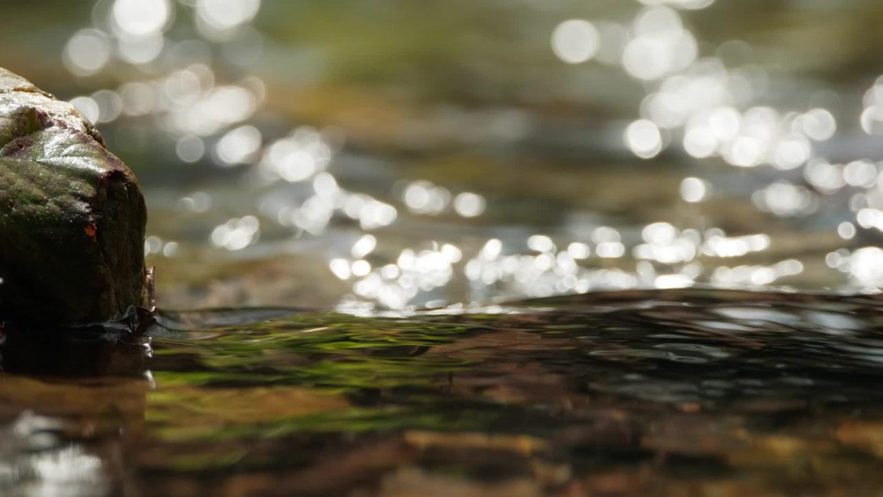 山泉水矿泉水潺潺小溪流水瀑布 30