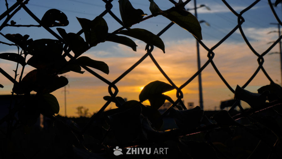 铁丝网后的黄昏剪影