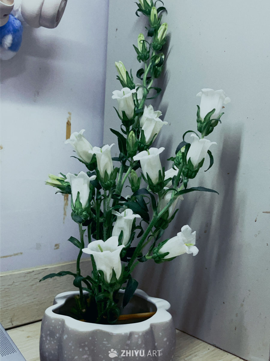 静谧角落的白色风铃花