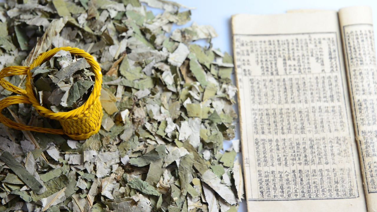 荷叶中药材 21