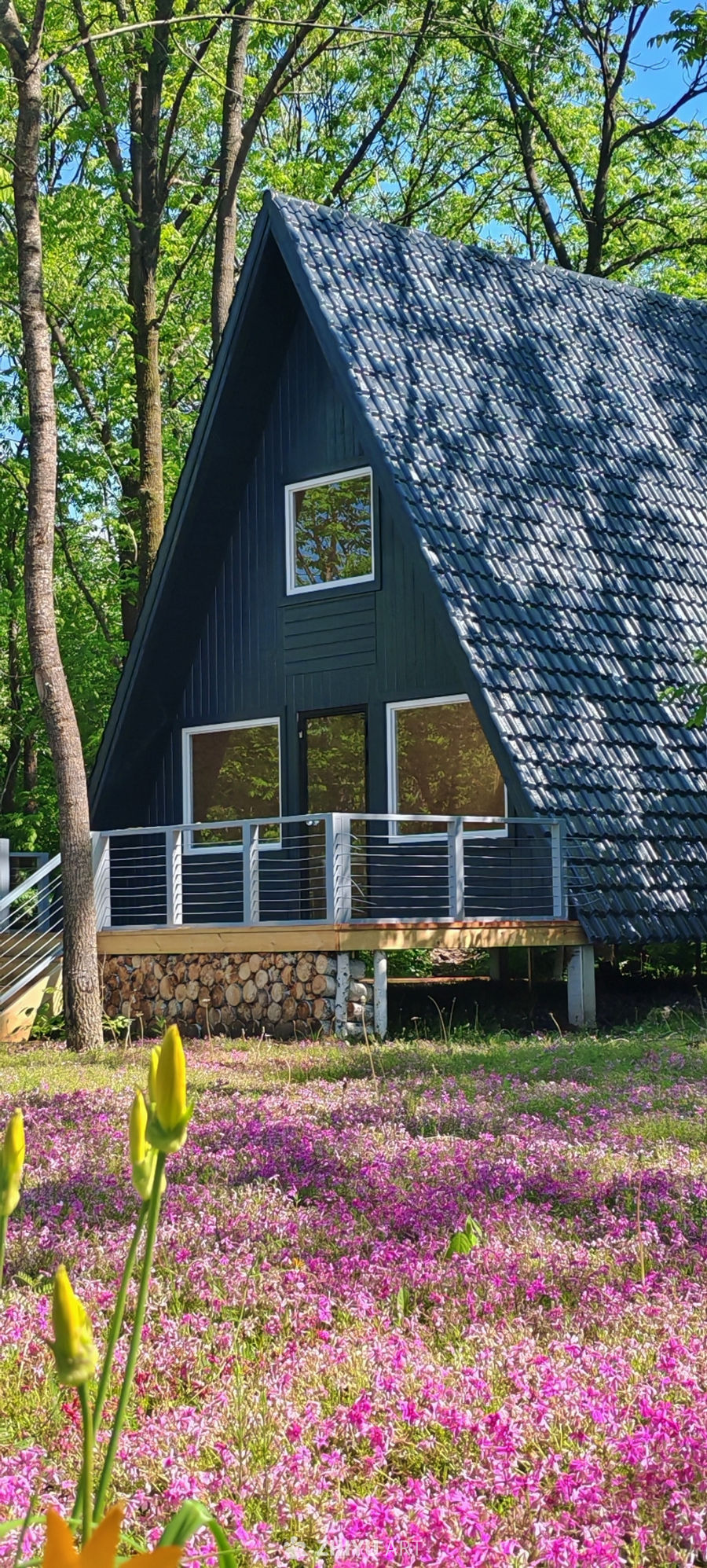 春花森韵 林间幽舍