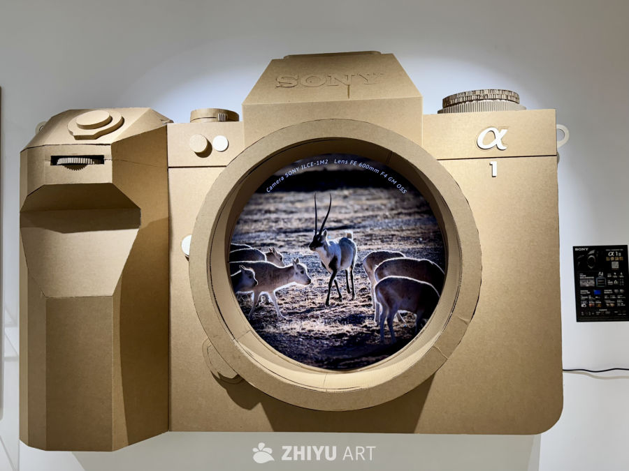 奚志农老师摄影展 在他大理的家 9