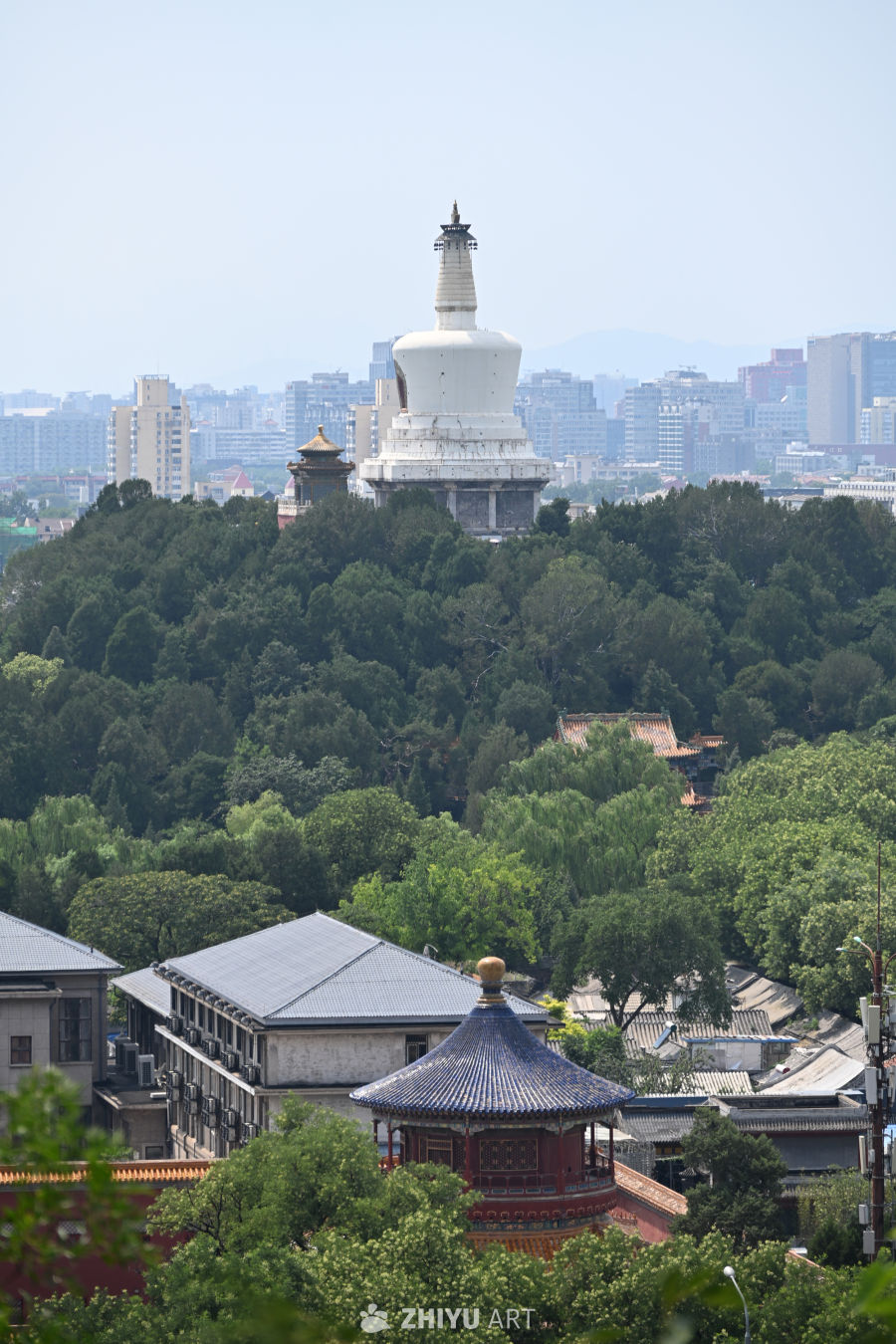 白塔与城市森林