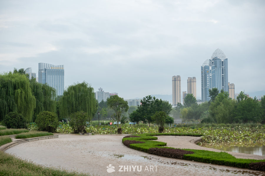 湿地公园 8