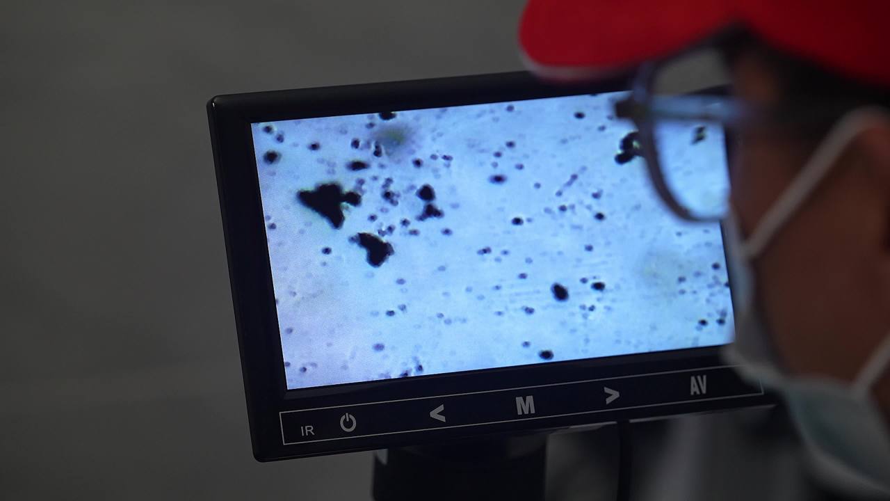 畜牧兽医团队工作记录