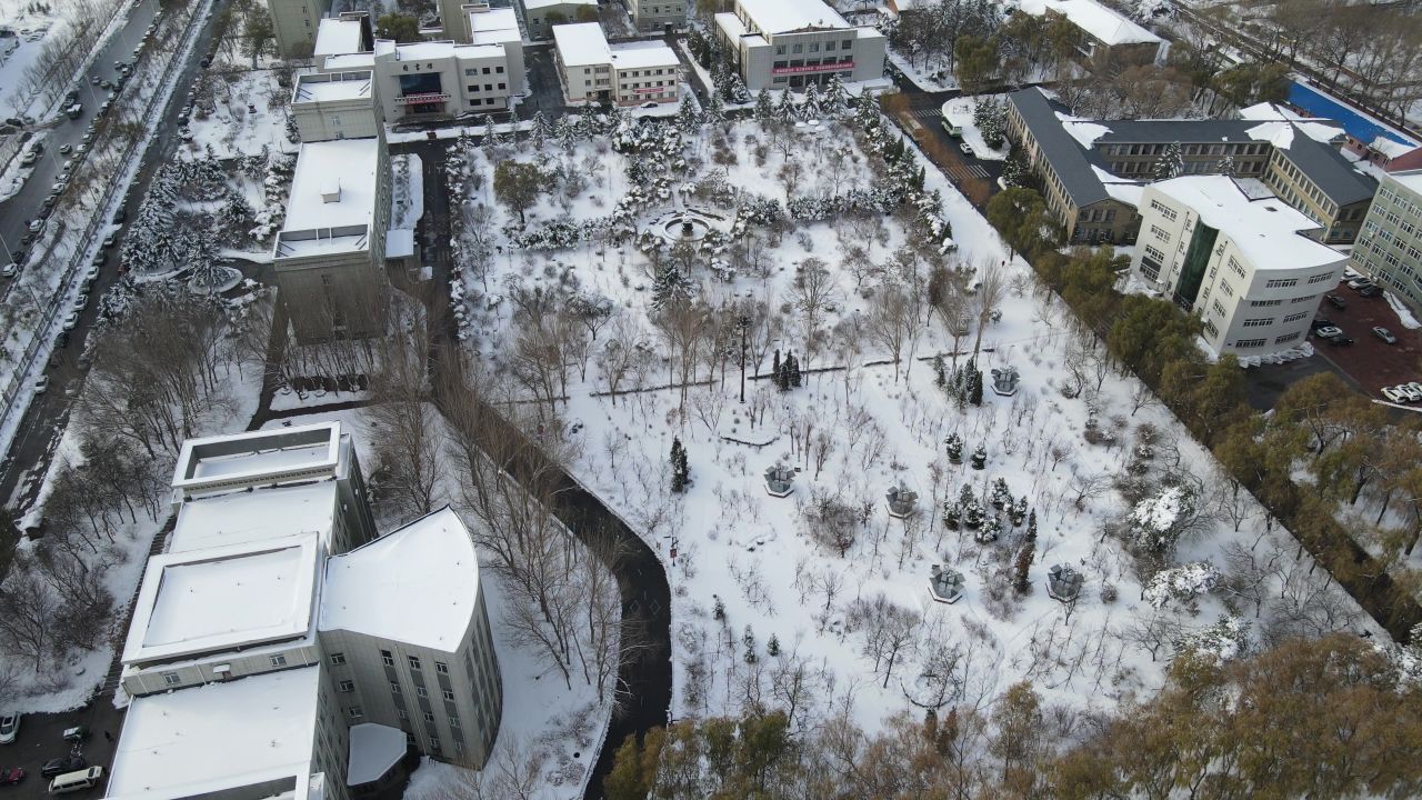 公园雪景航拍