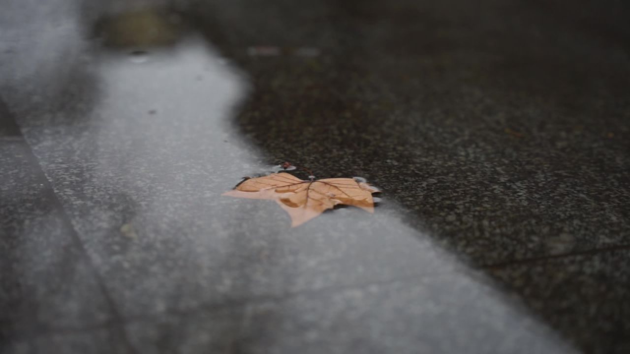 长沙 3