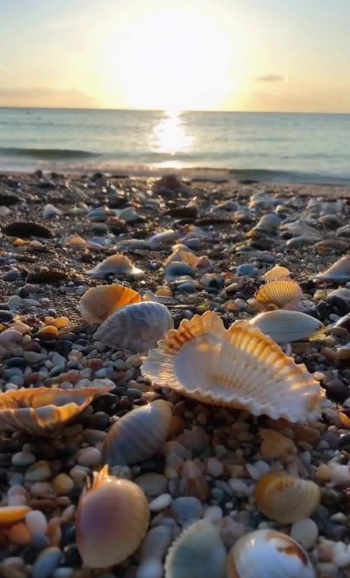 夕阳下的海滩：贝壳与鹅卵石的诗意图景
