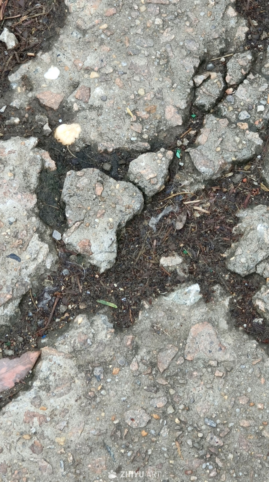 破碎的地面
