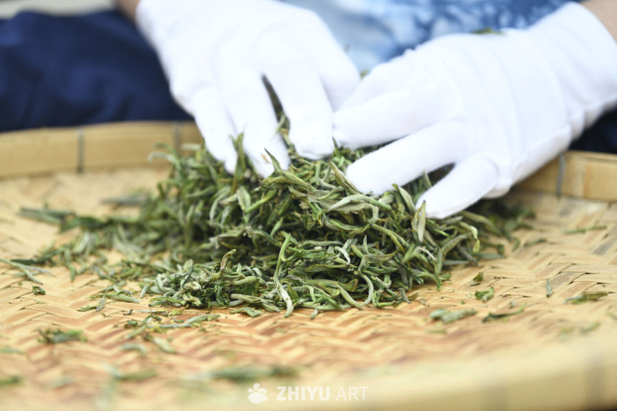 手工制茶 炒茶  茶叶产业 15