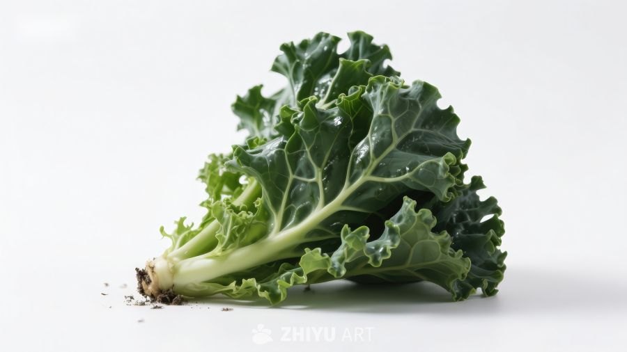 新鲜羽衣甘蓝特写