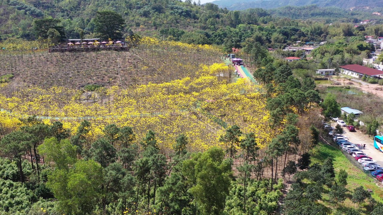 中山南朗云梯山