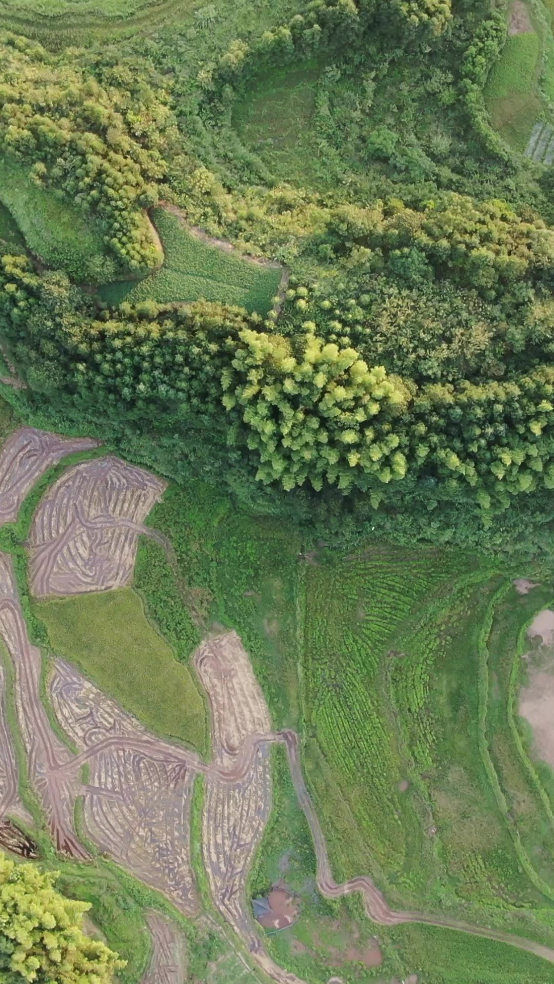 祖国大好河山山川河流风光竖屏