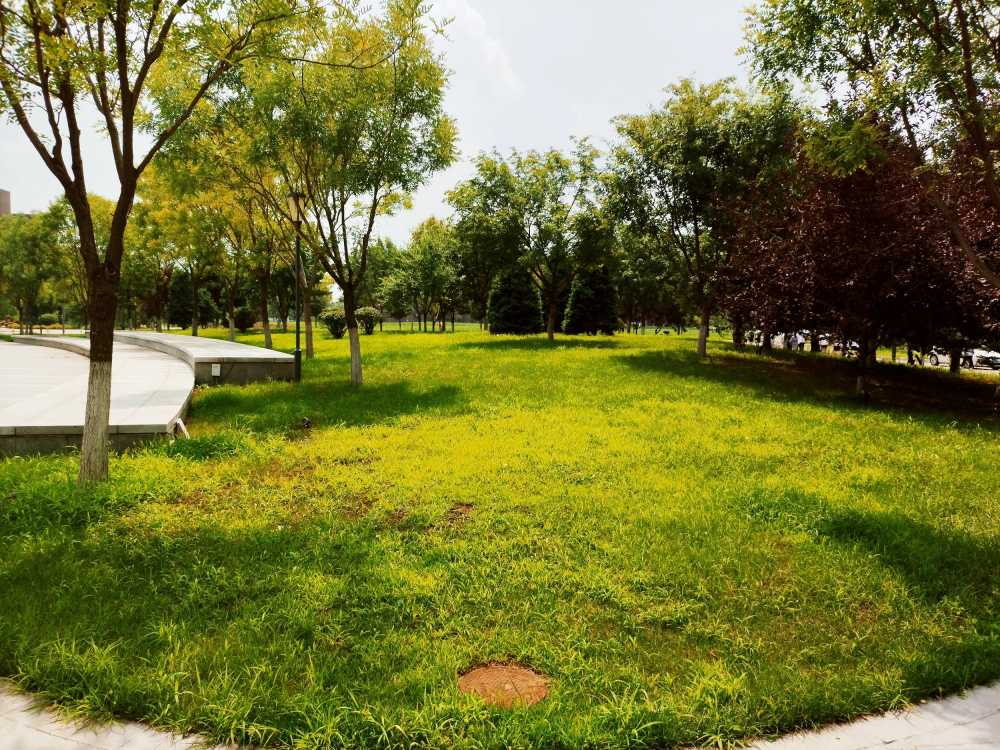 东北大学风景