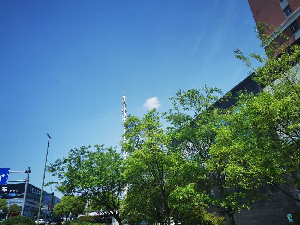 蓝天绿树
